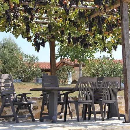 Poggio Della Quercia *