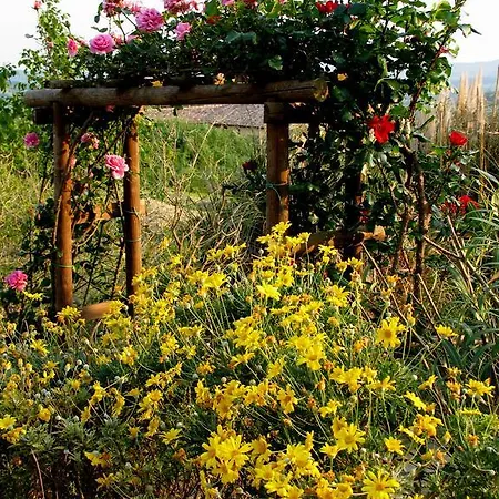 Poggio Della Quercia